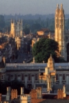 Three Ways to Respond to Your Bully: The Failings of the Modern University