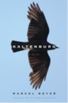 Kaltenburg – Marcel Beyer