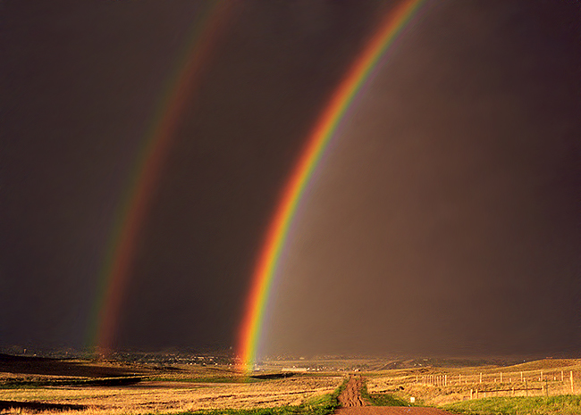 double-rainbow.jpeg
