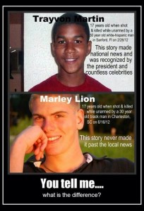 Trayvon Martin Marley Lion