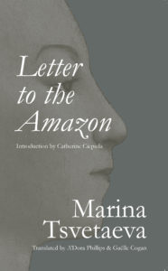 Letter to the Amazon cover