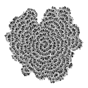 “Differential-mesh-908b913-01f4028” via @generativebot