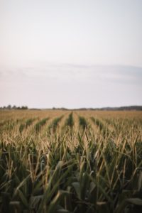 travis-essinger-366895