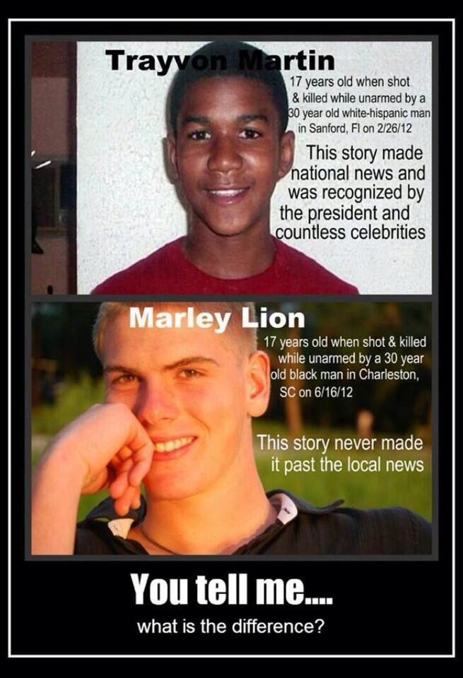 trayvon-martin-marley-lion.jpeg