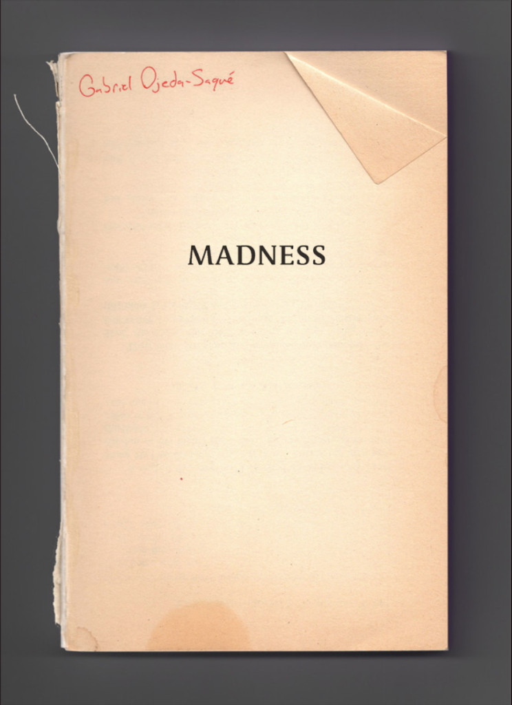 MADNESS by Gabriel Ojeda-Sagué is available from Nightboat Books